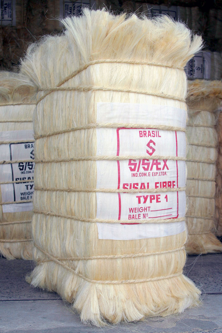 sisal tipo 1