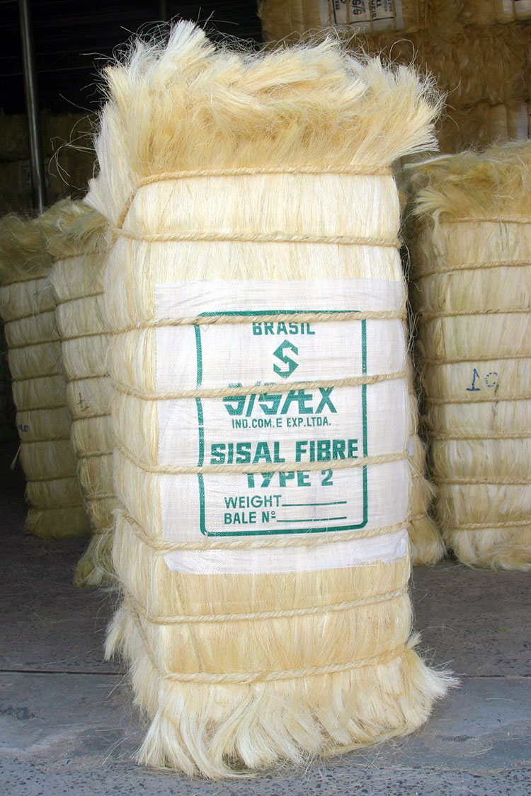 sisal tipo 2