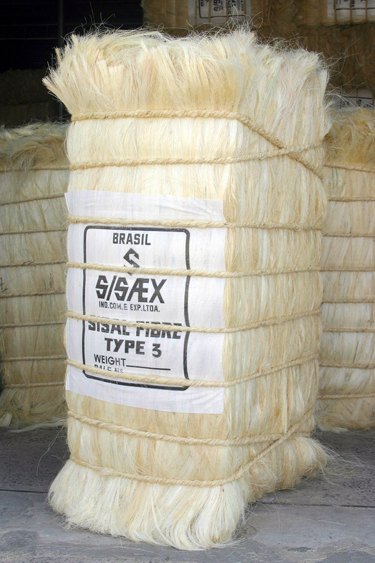 sisal tipo 3